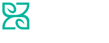 system logo